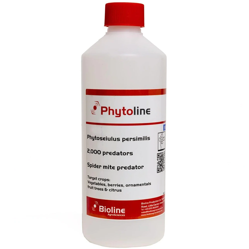 biogrup-biyolojik-mucadele-phytoline-spider-mite