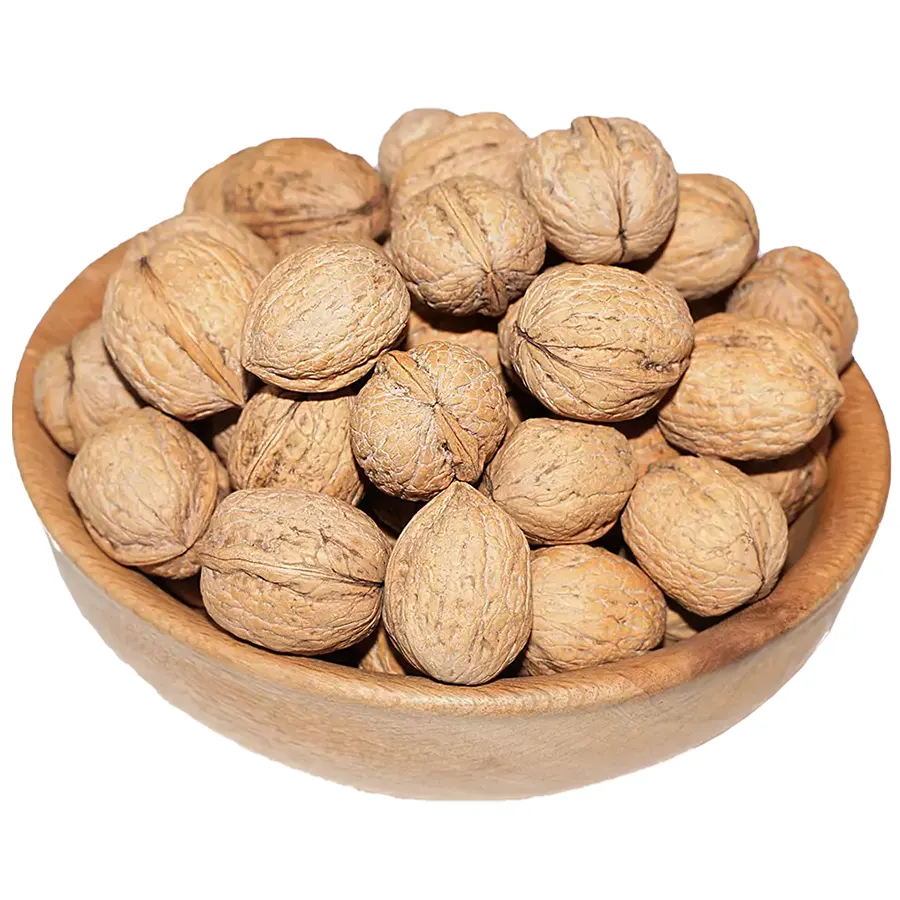 ceviz-uretimi-dalindan-sofraya-antalya-biogrup